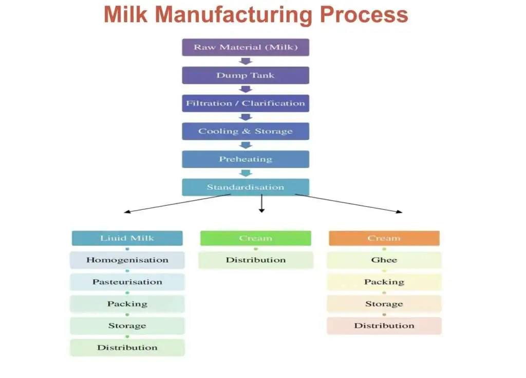 How to Start A Milk Processing Plant