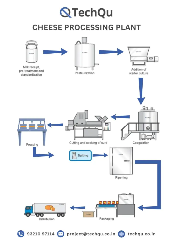 Cheese Production Process – Complete Turnkey Solutions by TechQu