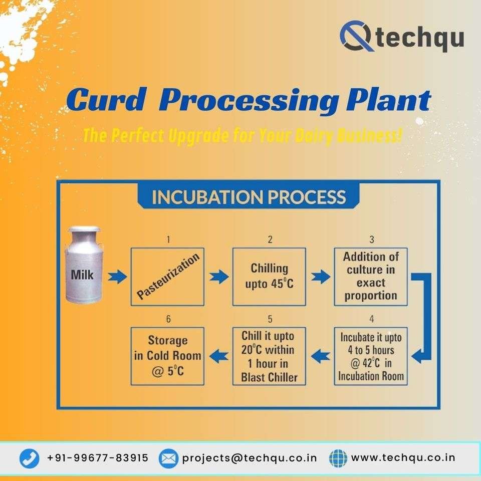 Curd processing plant